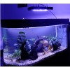 供應(yīng)LED水族燈