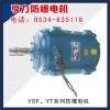 YSF、YT系列防爆電機(jī)